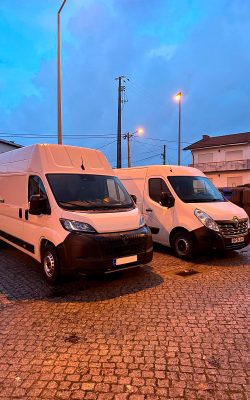 prestige-moving-logistics-cargo-8